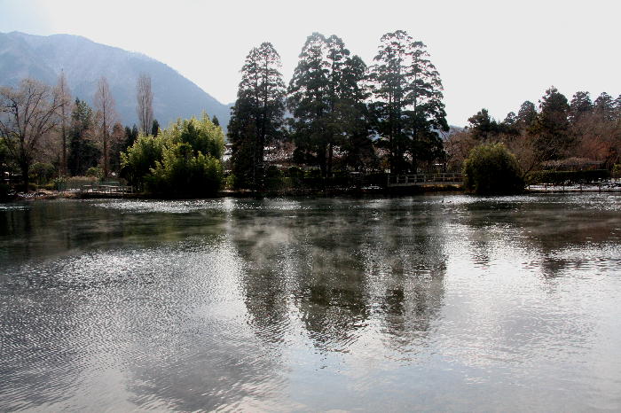 b0171185_20325179.jpg