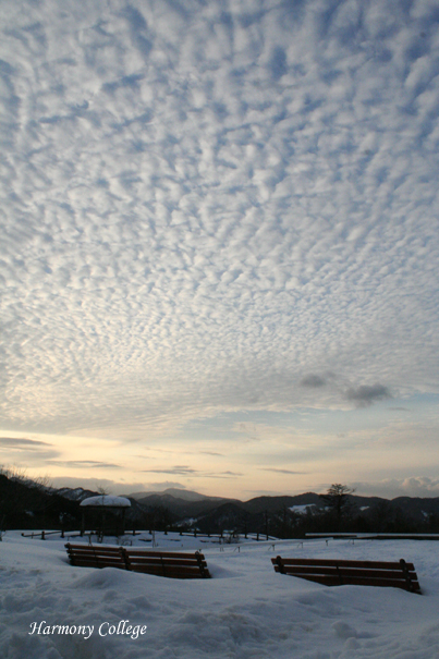 a0116490_21361720.jpg