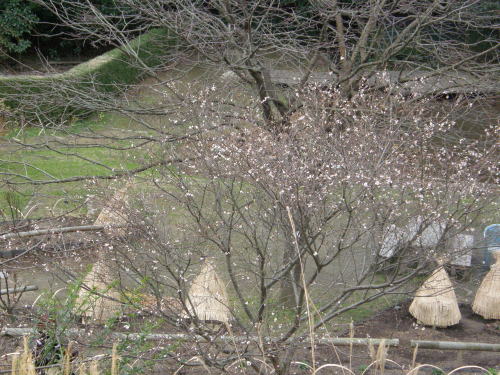 e0017396_20224148.jpg
