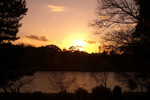 d0005397_17173351.jpg