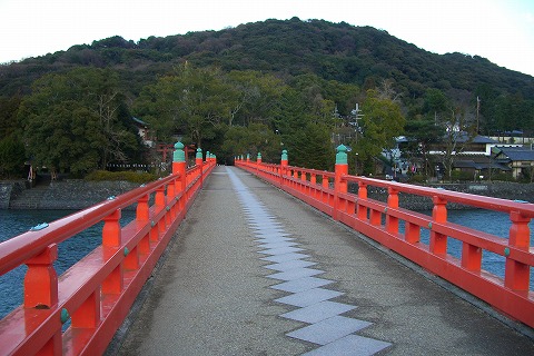 d0005397_1720345.jpg