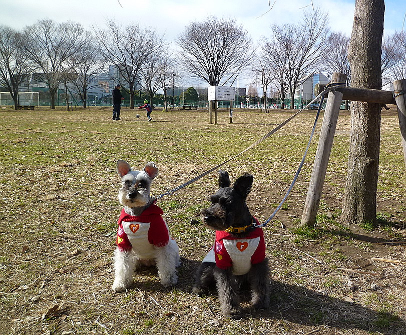 c0138198_2191769.jpg