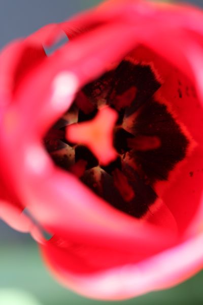 e0193207_15581781.jpg