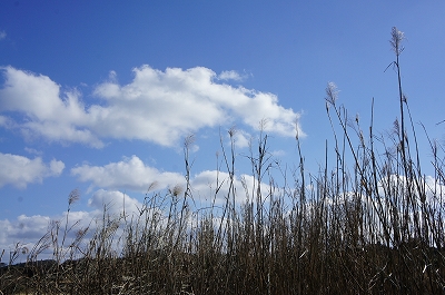 c0092408_11212589.jpg