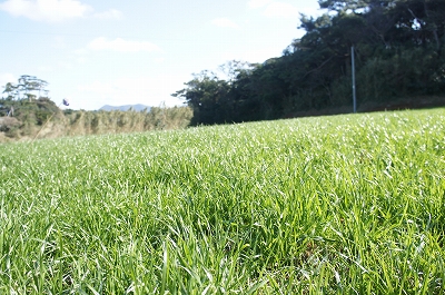 c0092408_11214032.jpg