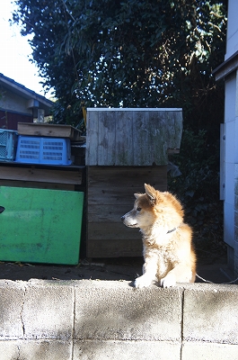 c0092408_11215442.jpg