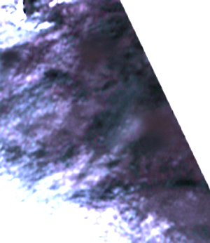 e0103408_03131100.jpg