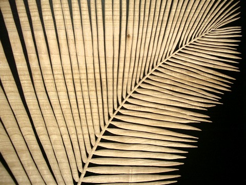 c0190010_20165770.jpg