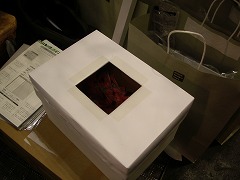 c0190010_2028468.jpg