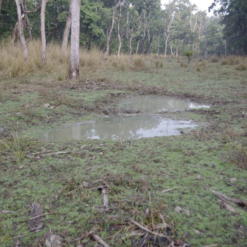 e0142611_0233567.jpg