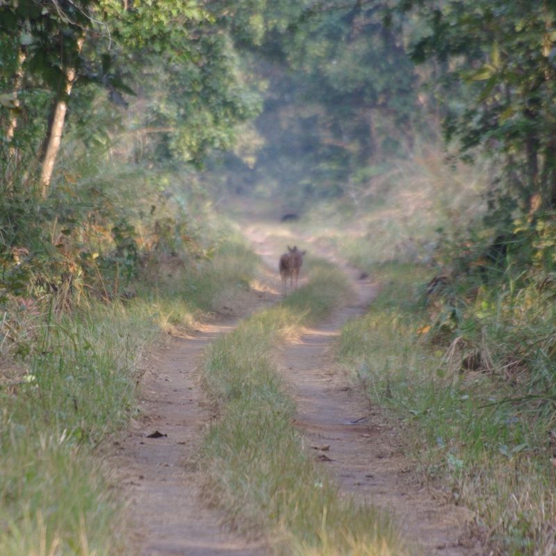 e0142611_023427.jpg