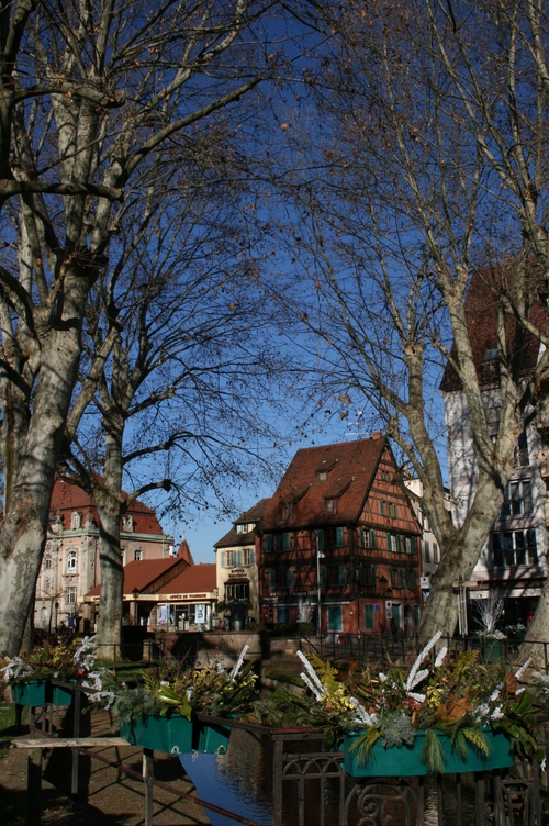d0070113_7371325.jpg
