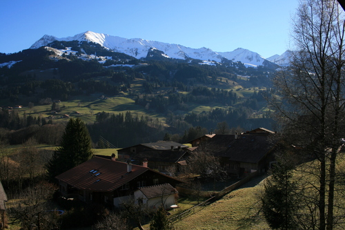 d0070113_750122.jpg