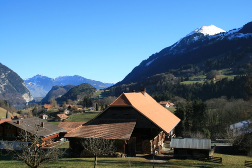 d0070113_7521011.jpg