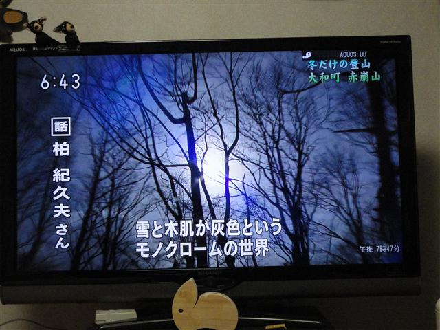 a0127015_2002917.jpg
