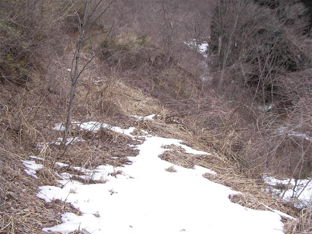 a0127015_2154941.jpg