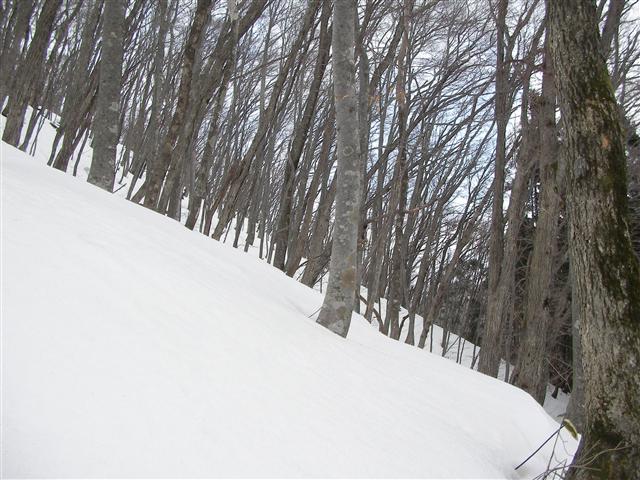a0127015_2162977.jpg