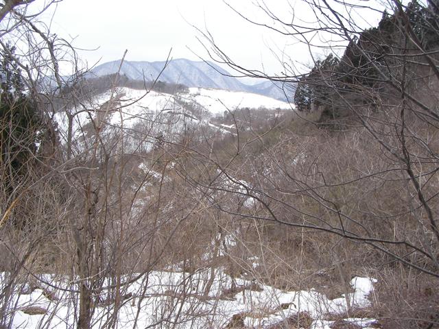 a0127015_2185877.jpg