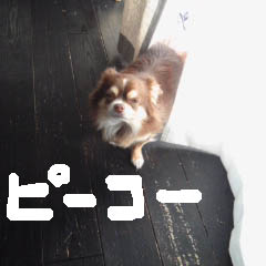 c0036617_6132597.jpg