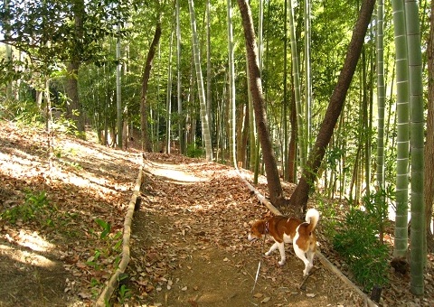 c0084117_17585885.jpg