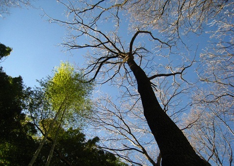 c0084117_18112946.jpg