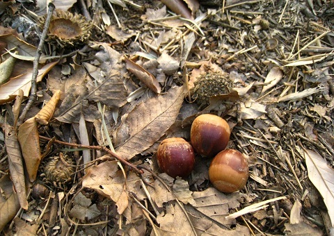 c0084117_189624.jpg