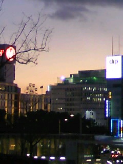 d0024220_189728.jpg