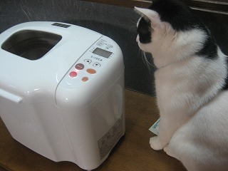 f0139520_14311560.jpg