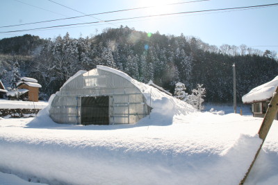 f0016038_118872.jpg