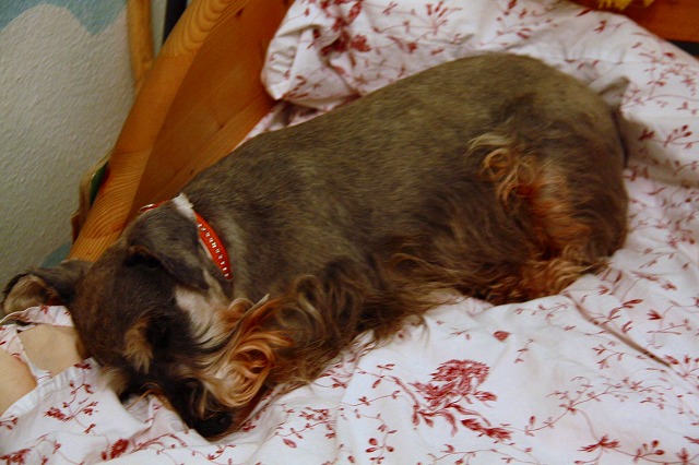 c0153740_632776.jpg