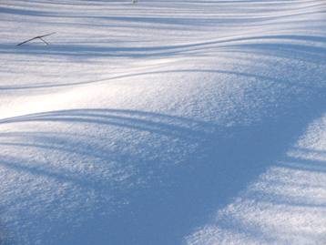 c0204740_1651464.jpg