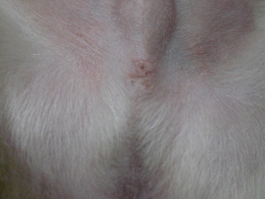 d0169340_23285775.jpg