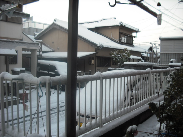 c0194042_2136010.jpg