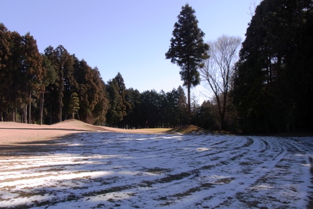 c0067646_6472158.jpg