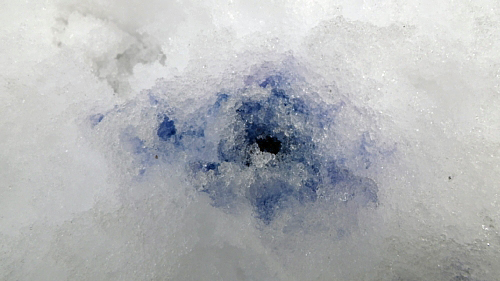c0042847_11382270.jpg