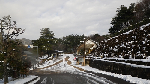 c0042847_119406.jpg