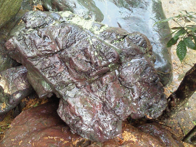 e0126548_14291584.jpg