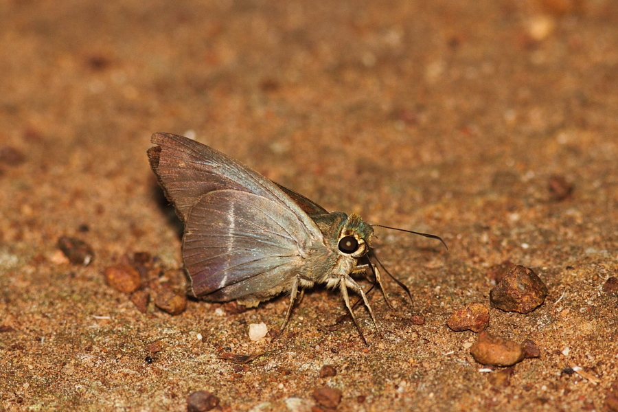a0094850_2105773.jpg