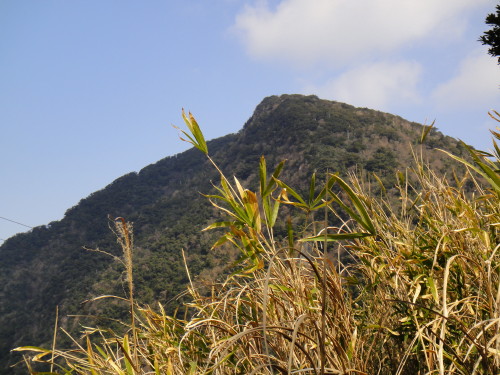 c0179351_2155837.jpg