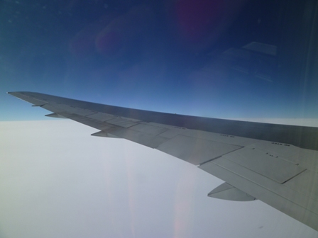 f0201054_22523383.jpg