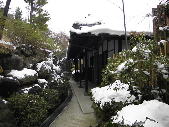 f0201157_2142676.jpg