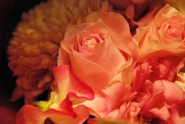 b0174068_23433383.jpg