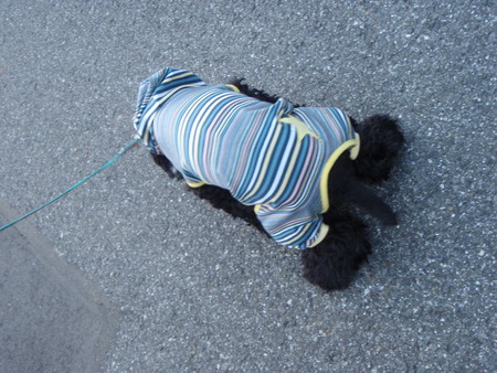 f0096569_7204277.jpg