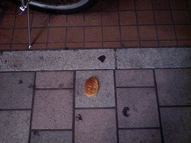 a0160571_0423731.jpg