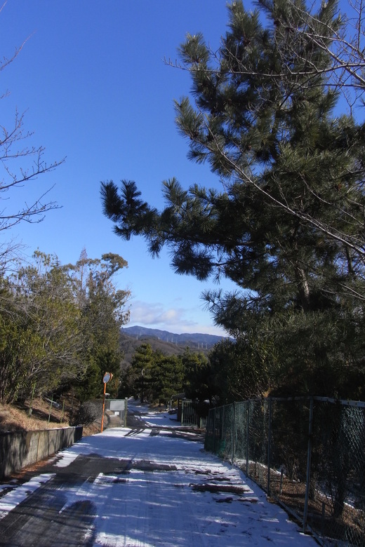 f0029271_16063.jpg