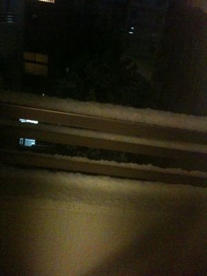 f0101871_23283876.jpg
