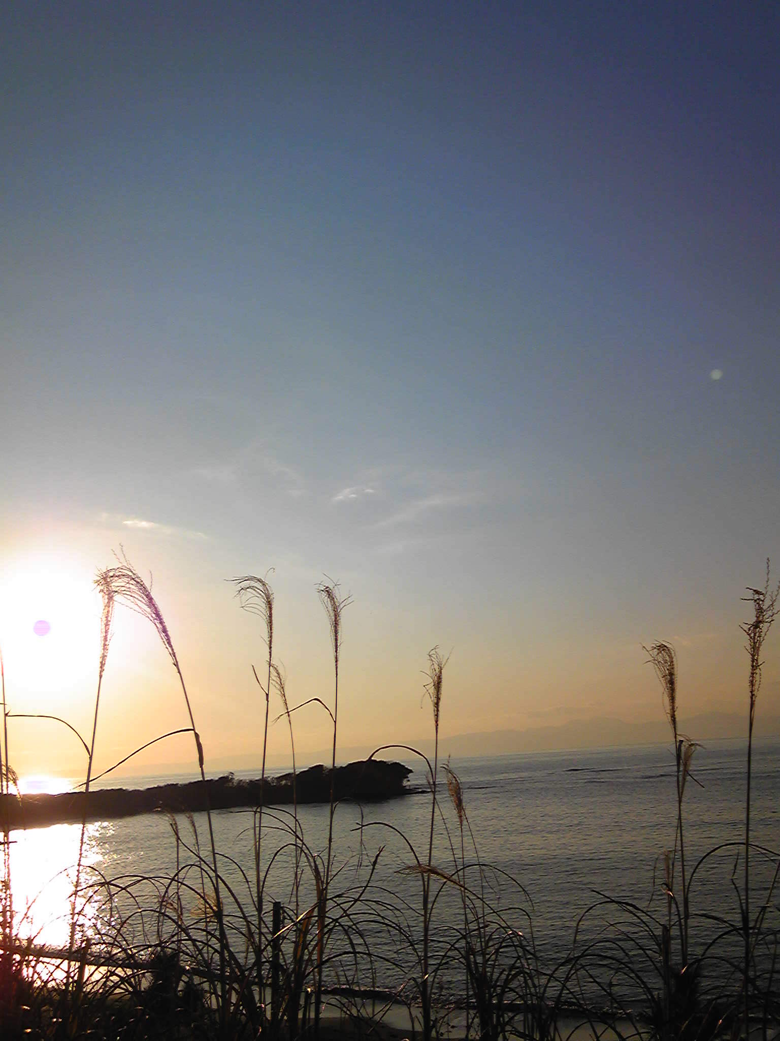 c0095273_2153453.jpg