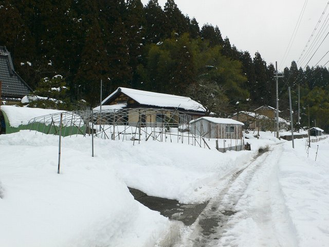 b0042882_17571610.jpg
