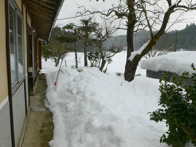 b0042882_1804761.jpg