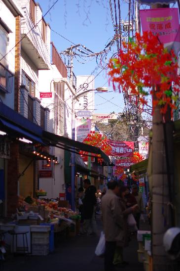 c0182782_2251166.jpg